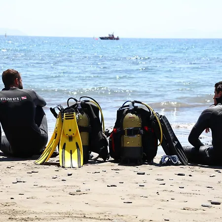 Sandos Papagayo Hotel