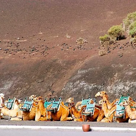 Sandos Papagayo Playa Blanca (Lanzarote)