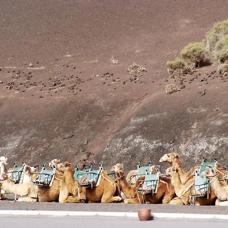 Szálloda Sandos Papagayo Playa Blanca