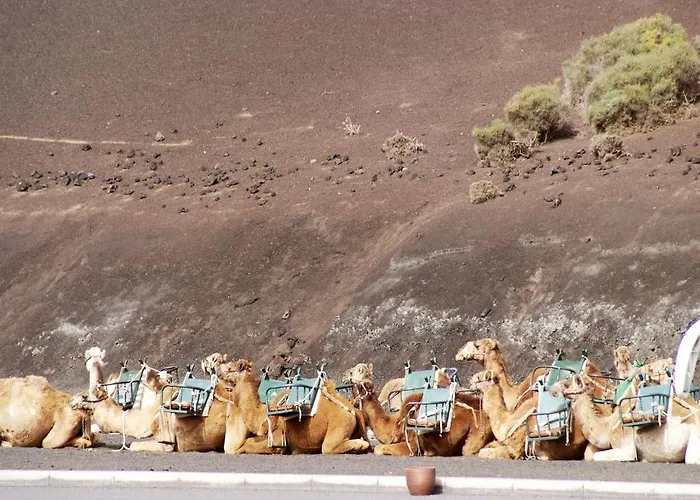 Hotell Sandos Papagayo Playa Blanca (Lanzarote)